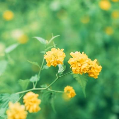 “换下英伟达芯片，中企集体加速”